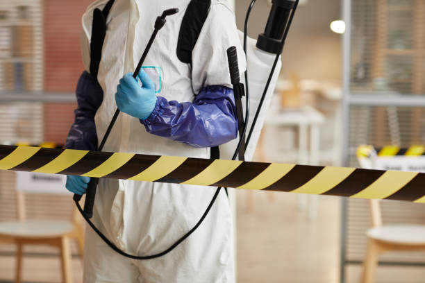 Professional Odor Removal technician working in Marshall, IN